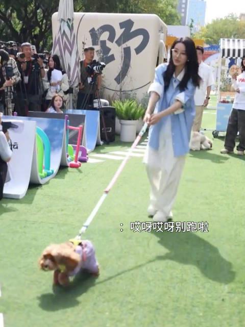 海外华人必看!喻言新综艺带你云游北京,这些方法让你不再错过精彩内容