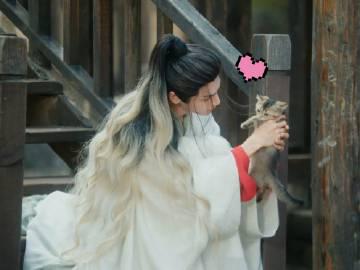 罗云熙《水龙吟》片场撸猫照曝光!网友直呼:这才是年度最治愈画面