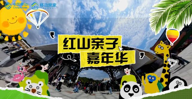 海外华人如何突破限制观看《红山亲子嘉年华》?这些方法太实用了!