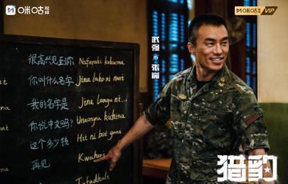 海外追剧不再愁!三招教你解锁国内热门影视资源