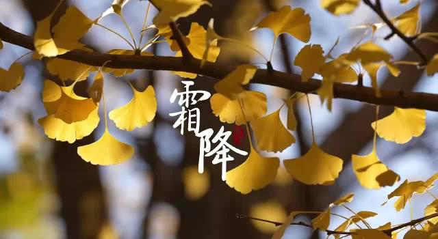 海外华人必看!京津冀绝美秋景在线观赏指南,告别地区限制烦恼