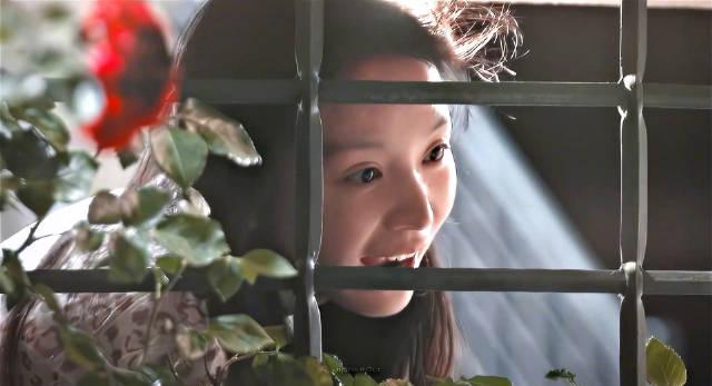 田曦薇片场落泪美如画!海外华人如何同步追剧不卡顿?