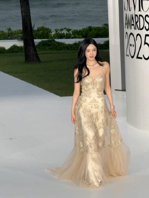 海外华人如何突破地区限制观看国内影视?实用教程解决播放卡顿问题