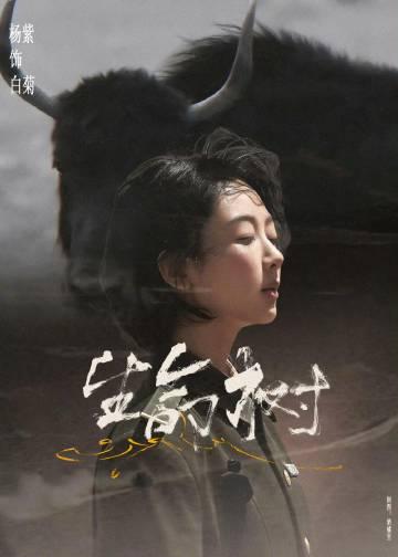 杨紫《早安咪语》惊喜回归!白菊警官下山引爆全网热议