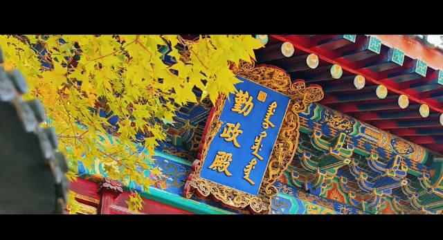 海外华人必看!三步教你解锁国内影视资源,海外追剧不再卡顿