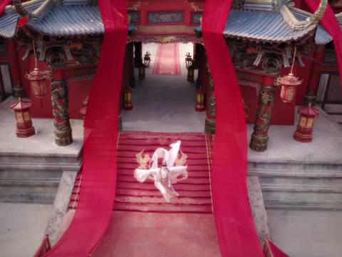 罗云熙打戏惊艳全网!720度空中转体拨弦,武术指导都惊叹的形体美学