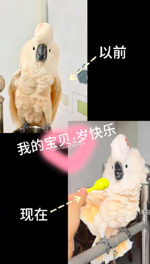 海外华人轻松解锁国内影音:解决地区限制全攻略