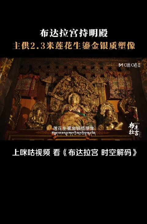 海外华人必看!3招教你解锁国内影视资源,布达拉宫鎏金佛像背后的文化密码