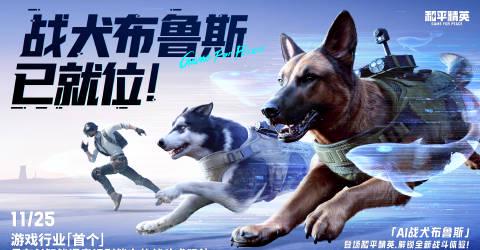 海外华人如何突破限制,畅玩《和平精英》全新AI战犬?3个实用技巧分享