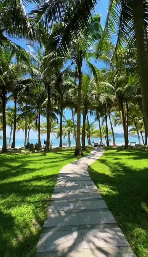 三亚马拉松攻略:教你如何把42公里跑成浪漫海滨假期