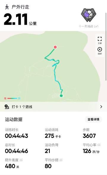 海外华人如何解锁国内综艺?3天打卡五岳的王浩宇告诉你答案!