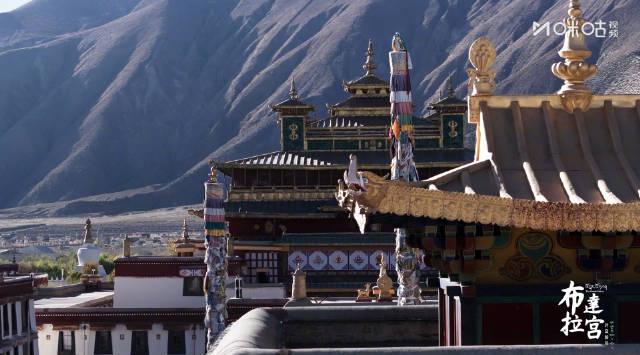 海外华人福音!《布达拉宫 时空解码》今日震撼收官,七座金顶绝美画面曝光