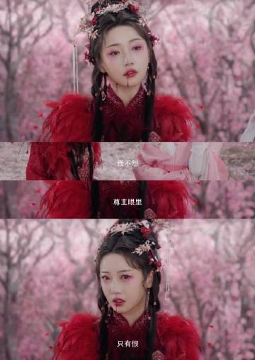 《水龙吟》红姑娘引热议!姜贞羽演绎清醒沉沦,海外华人如何解锁追剧?