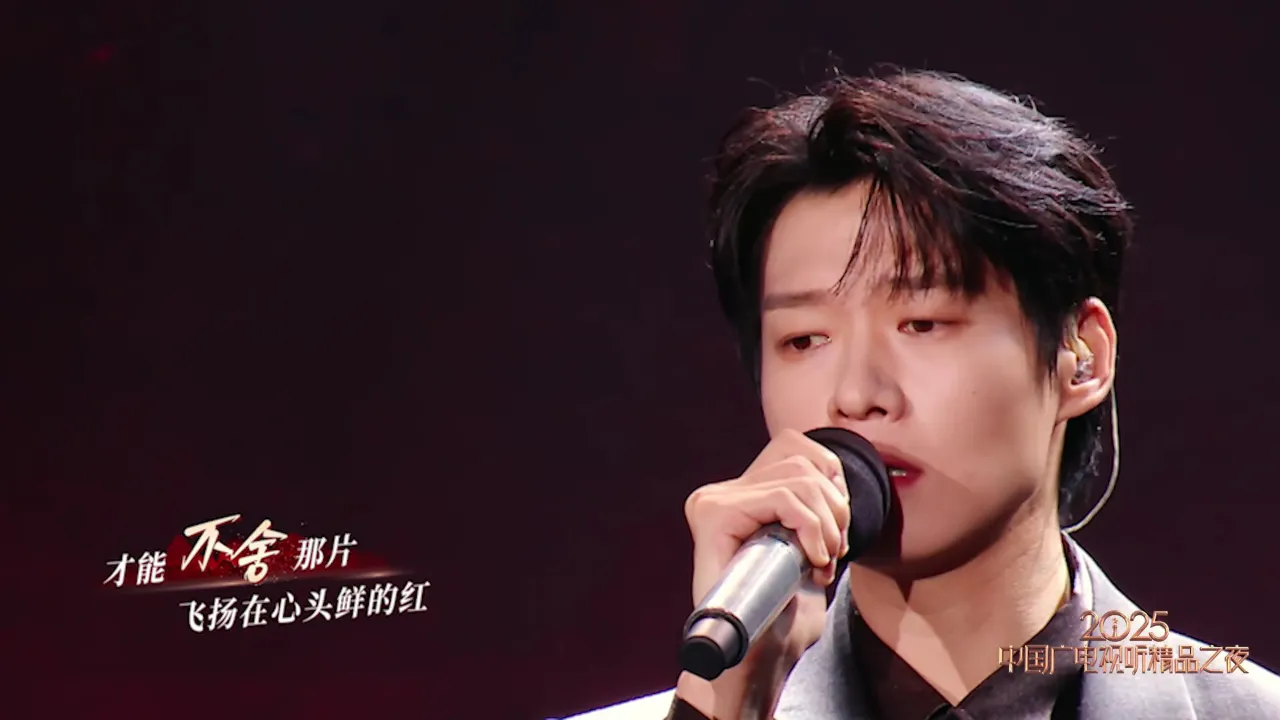 海外华人如何突破地区限制,重温国内热门影视音乐节目