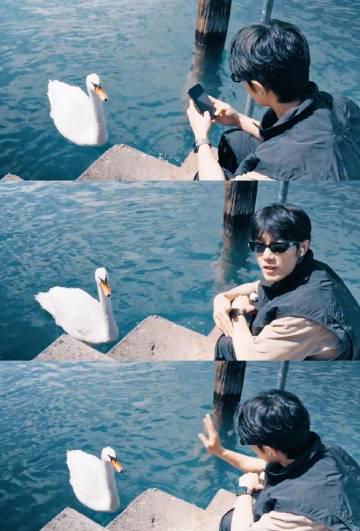 肖战暖心搂狗画面刷屏!原来这些细节暴露了他隐藏的温柔属性