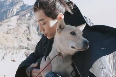 肖战暖心搂狗画面刷屏!原来这些细节暴露了他隐藏的温柔属性