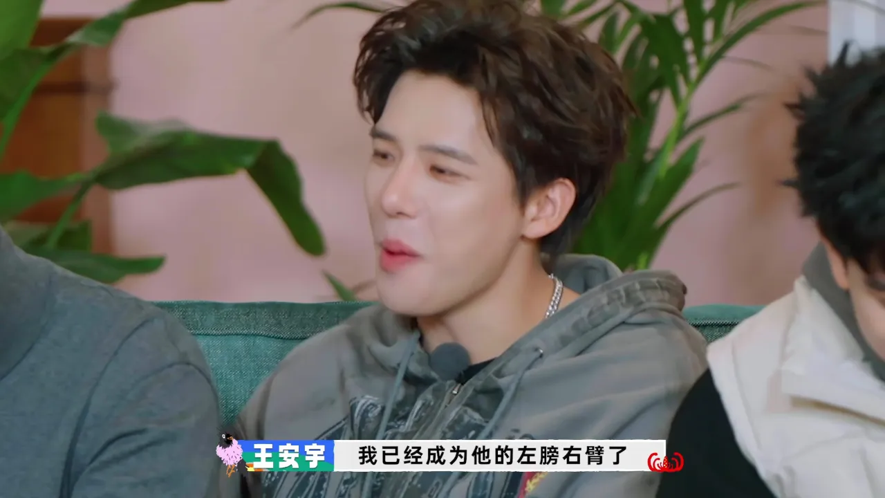 海外华人如何解决国内影视综艺地区限制?王安宇自曝成为陈伟霆左膀右臂引热议