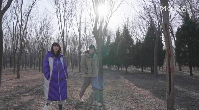 海外追剧党必看!一招教你解锁国内视频平台,告别“地区限制”的烦恼