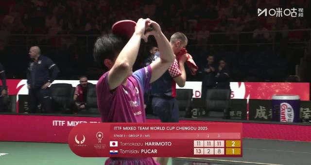 张本智和逆转取胜背后:海外华人如何突破限制,流畅观看成都混团世界杯?