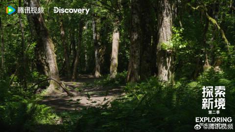 海外华人追剧难?王一博新综艺《探索新境》带你解锁海外观看限制全攻略