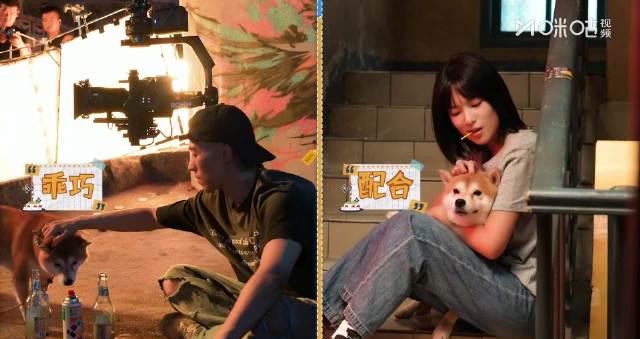 海外追剧党福音:三步教你解锁国内影视资源,再也不用担心“仅限中国大陆”